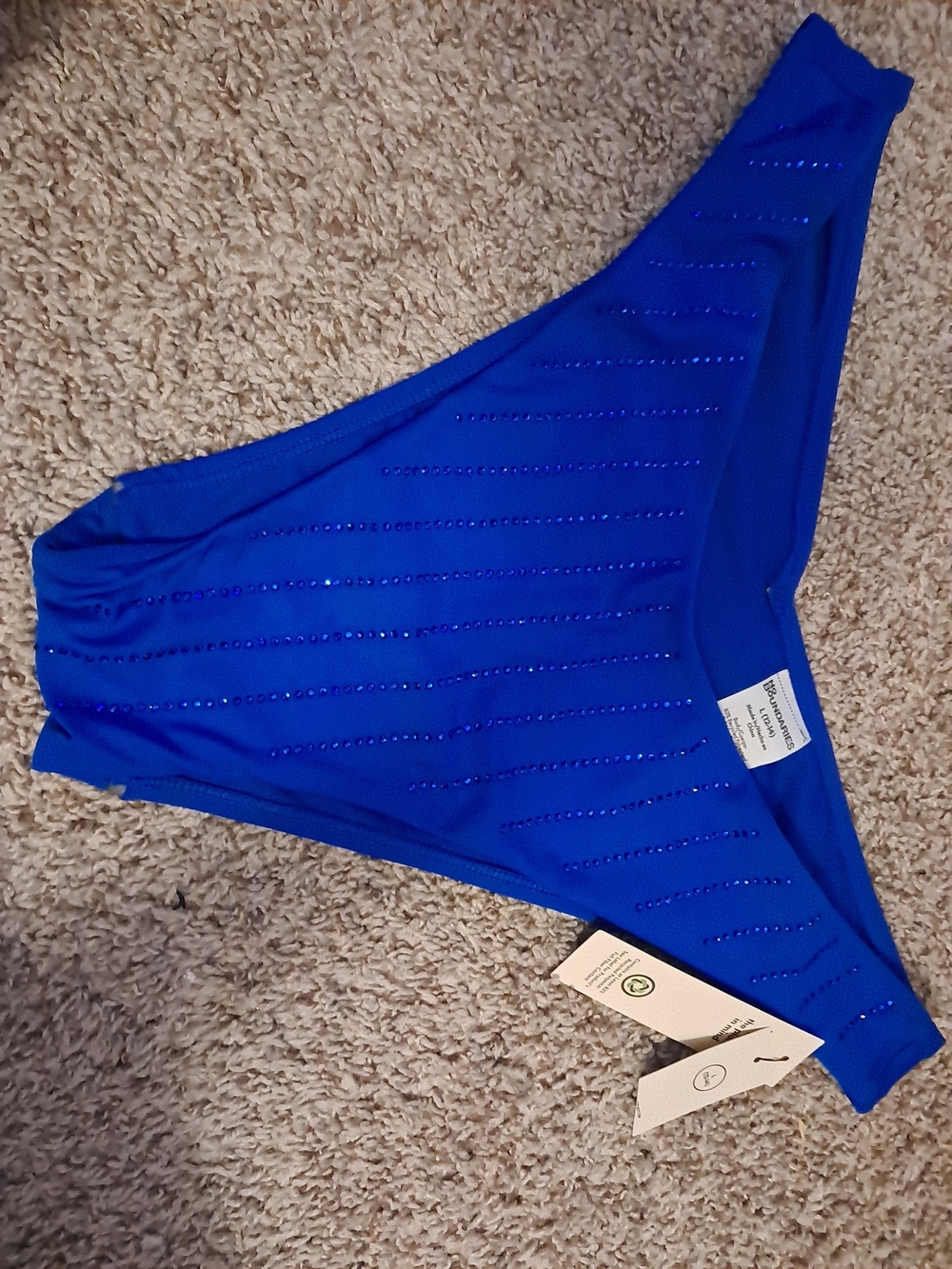 No Boundaries Royal Blue Bikini Bottom with Rhinestone Stripes